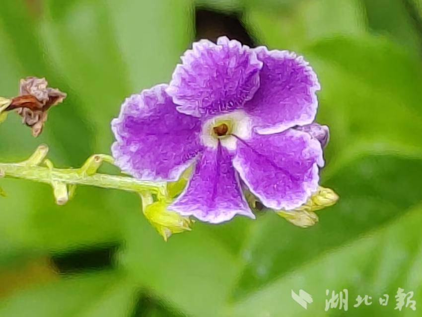 39814.acom摇钱树开奖